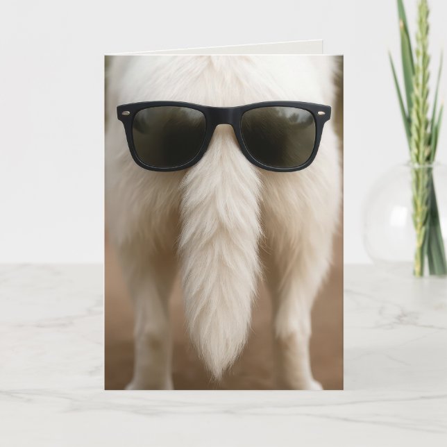 Cartão Birthday Dog Tail with Sunglasses  (Frente)
