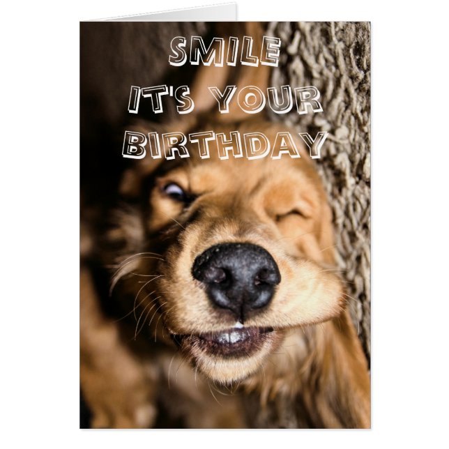 Cartão Birthday doggy greeting card (Frente)