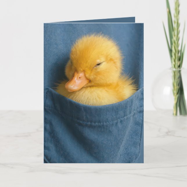 Cartão Birthday Duckling In a Blue T-shirt Pocket (Frente)