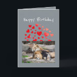 Cartão Birthday  Flirty Lion Couple of Fun Humor<br><div class="desc">Birthday for your husband,  boyfriend,  sweetheart,  partner Flirty I'd be Lion Humor Funny Animal Birthday card</div>
