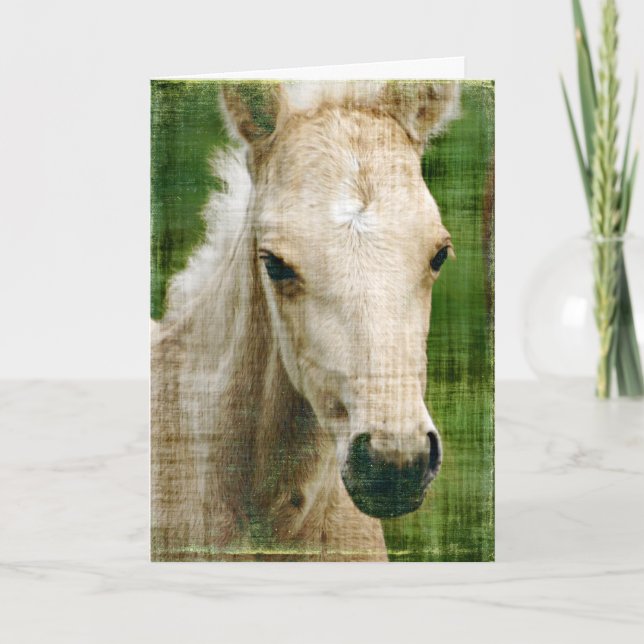 Cartão Birthday Foal (Frente)