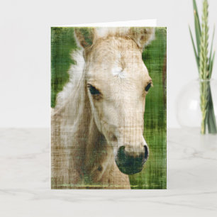 Cartão Birthday Foal