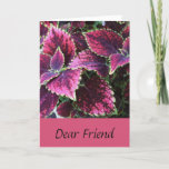 Cartão Birthday for a friend, pretty coleus plant.<br><div class="desc">Pretty,  pink,  coleus leaves,  are featured on this sweet,  birthday greeting for a friend.</div>