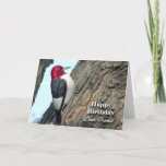 Cartão Birthday for Friend, Red-headed Woodpecker<br><div class="desc">A Red-headed Woodpecker is featured on this funny birthday (BIRDday) card for a friend.</div>