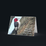 Cartão Birthday for Friend, Red-headed Woodpecker<br><div class="desc">A Red-headed Woodpecker is featured on this funny birthday (BIRDday) card for a friend.</div>