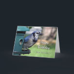 Cartão Birthday for Husband, Blue Jay at Bird Feeder<br><div class="desc">Photograph of a Blue Jay at a bird feeder. Perfect for that special bird lover. Birthday card for a husband. Image and verse copyright © 2014,  Shoaff Ballanger Studios.</div>