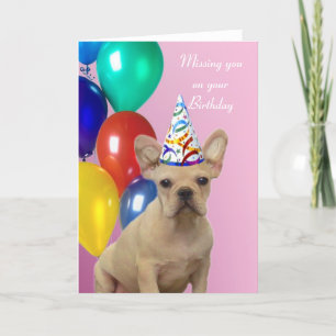 Cartão Birthday French Buldogue