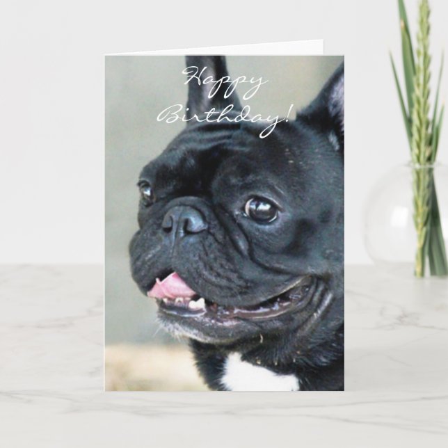 Cartão Birthday French Bulldog dog (Frente)