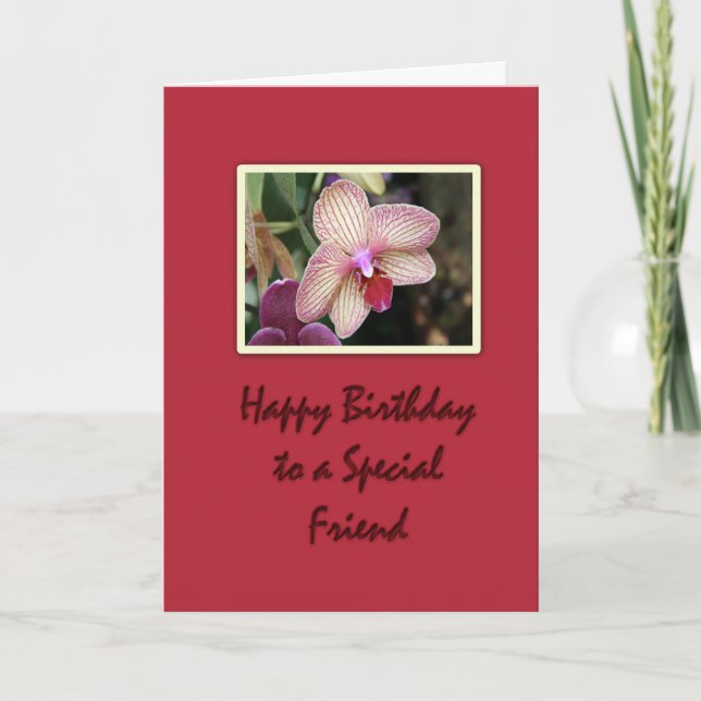 Cartão Birthday Friend Orchid (Frente)