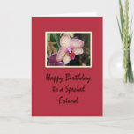 Cartão Birthday Friend Orchid<br><div class="desc">Beautiful framed orchid.  Birthday wishes for a special friend.</div>