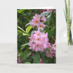 Cartão Birthday General<br><div class="desc">Rhodie in Garden</div>