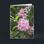 Cartão Birthday General<br><div class="desc">Rhodie in Garden</div>