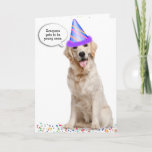 Cartão Birthday Golden Retriever on Stars<br><div class="desc">Golden retriever wearing a party hat on white background and colorful stars confetti for getting older birthday humor.
Background color can be changed.</div>