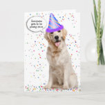 Cartão Birthday Golden Retriever on Stars Card<br><div class="desc">Golden retriever wearing a party hat on white background and colorful stars confetti for getting older birthday humor.
Background color can be changed.</div>