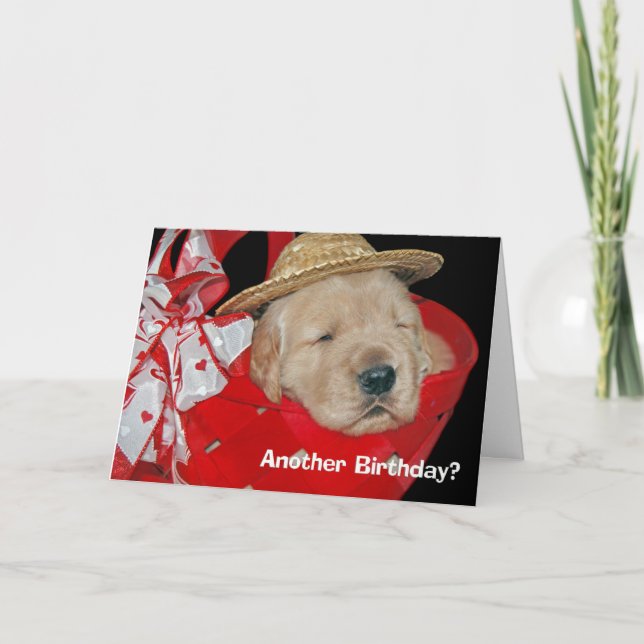 Cartão birthday golden retriever puppy (Frente)