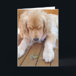 Cartão Birthday golden retriever with frog<br><div class="desc">golden retriever with green frog on wood</div>