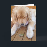 Cartão Birthday golden retriever with frog<br><div class="desc">golden retriever with green frog on wood</div>