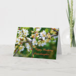 Cartão Birthday Granddaughter Sun-Dappled Spring Hawthorn<br><div class="desc">Floral series: A beautiful and delicate photo of a sprig of hawthorn,  full of spring blossom. 
In the language of flowers,  hawthorn stands for hope. 



image code: hrflo29</div>