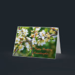 Cartão Birthday Granddaughter Sun-Dappled Spring Hawthorn<br><div class="desc">Floral series: A beautiful and delicate photo of a sprig of hawthorn,  full of spring blossom. 
In the language of flowers,  hawthorn stands for hope. 



image code: hrflo29</div>