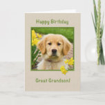 Cartão Birthday, Great Grandson, Golden Retriever Dog<br><div class="desc">Nothing says "love" more than the big brown eyes of a Golden Retriever pup.  Add a few yellow daffodils and you have a way to wish someone a happy birthday.  Feel free to change the inside verses to suit your needs.</div>