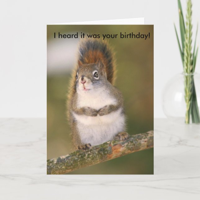 Cartão Birthday Greeting Card - Squirrel (Frente)