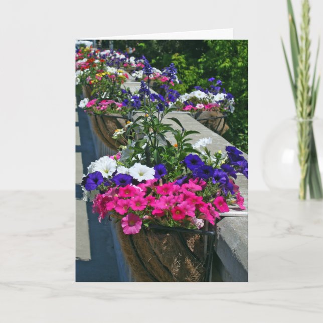 Cartão Birthday Greetings, Flowers in Leland Michigan (Frente)