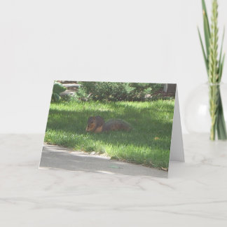 Cartão Birthday Jazz Squirrel