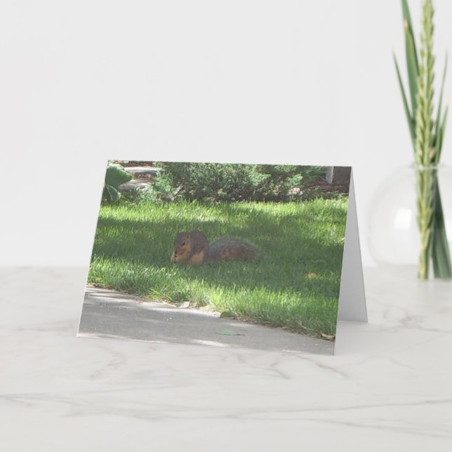 Cartão Birthday Jazz Squirrel (Frente)