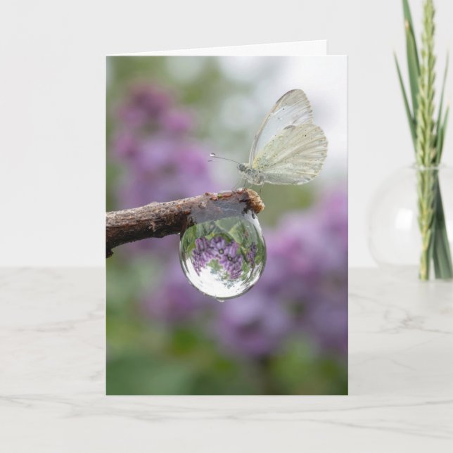 Cartão Birthday Lilacs Reflecting in a Raindrop  (Frente)