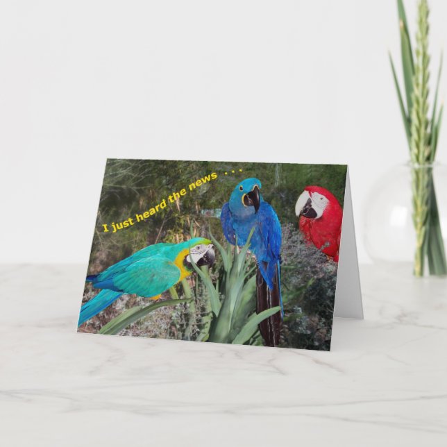 Cartão Birthday News (Frente)