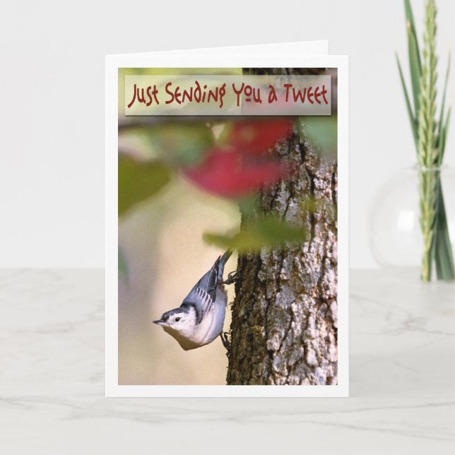 Cartão Birthday - Nuthatch Greeting Card (Frente)