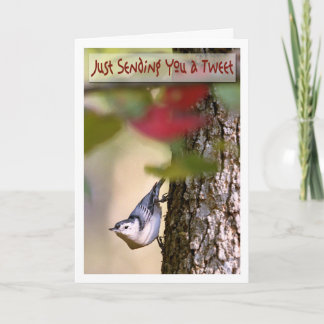Cartão Birthday - Nuthatch Greeting Card
