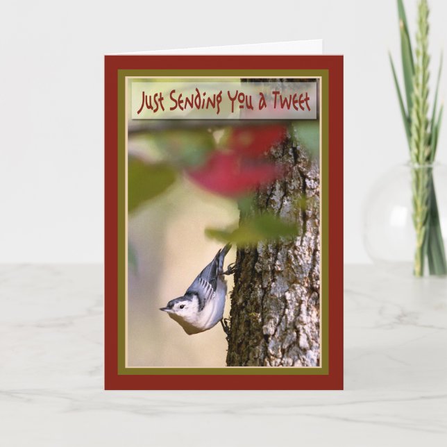 Cartão Birthday - Nuthatch Greeting Card (Frente)
