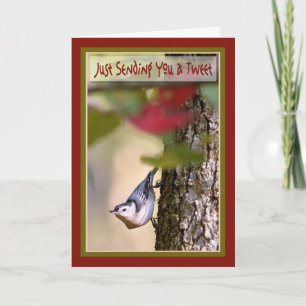 Cartão Birthday - Nuthatch Greeting Card