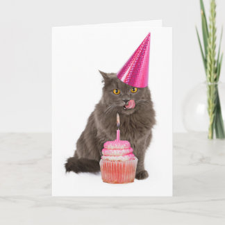 Cartão Birthday Party Cat Greeting Card