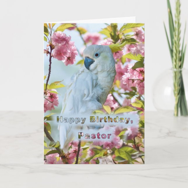 Cartão Birthday, Pastor, White Parrot in Crab Apple Tree (Frente)