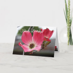 Cartão Birthday Pink Dogwood