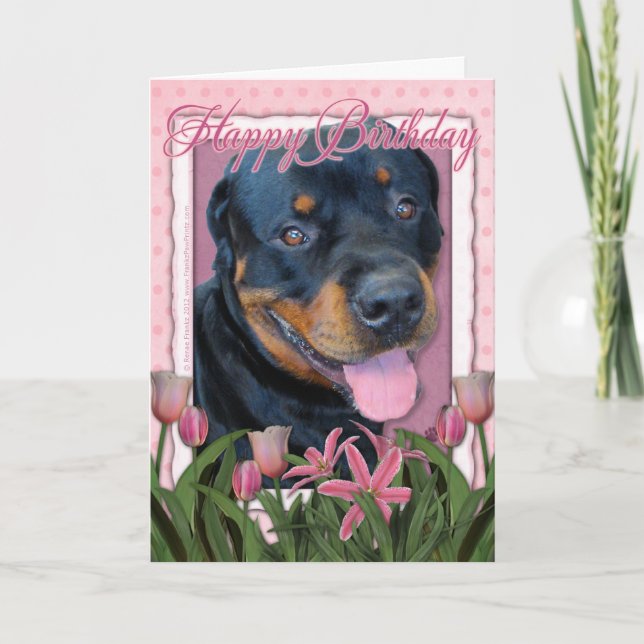 Cartão Birthday - Pink Tulips - Rottweiler - Harley (Frente)