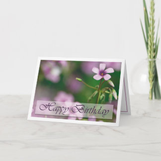 Cartão Birthday - Pink Wood Sorrel Greeting Card