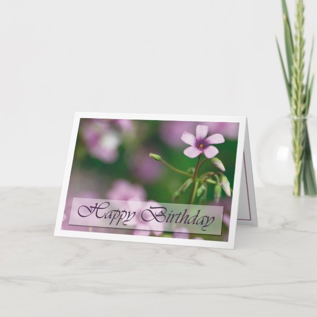 Cartão Birthday - Pink Wood Sorrel Greeting Card (Frente)