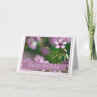 Cartão Birthday - Pink Wood Sorrel Greeting Card