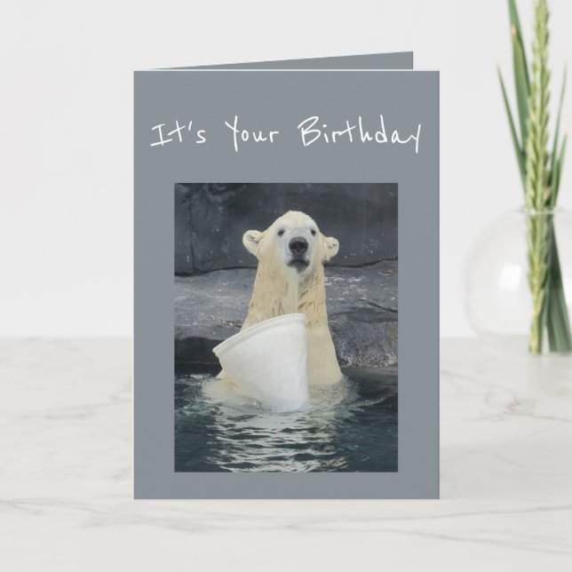 Cartão Birthday Polar Bear Bucket of Fun Humor (Frente)