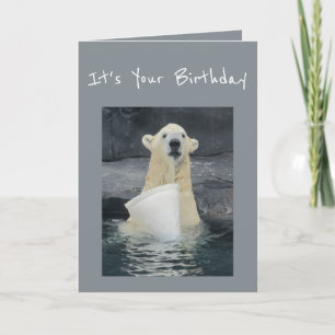 Cartão Birthday Polar Bear Bucket of Fun Humor