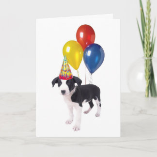 Cartão birthday puppy