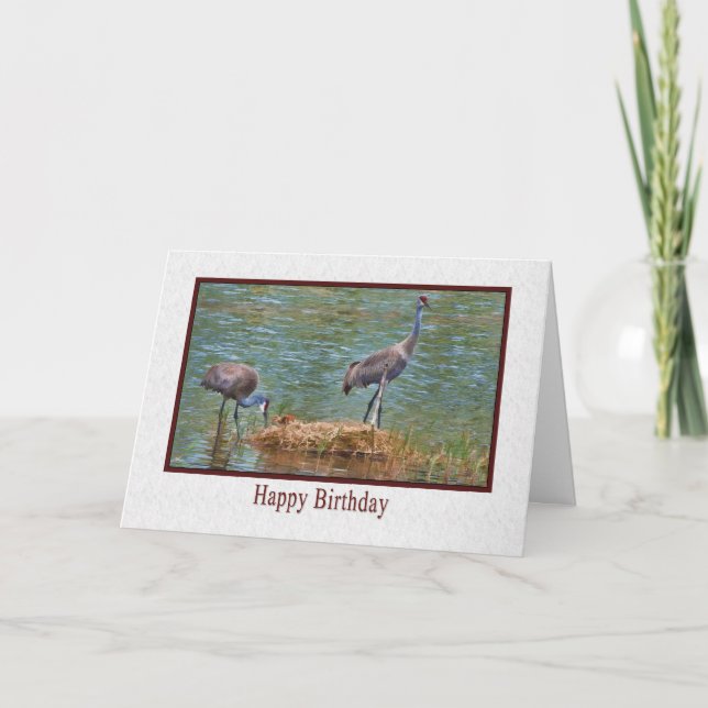 Cartão Birthday, Sandhill Crane Family Card (Frente)