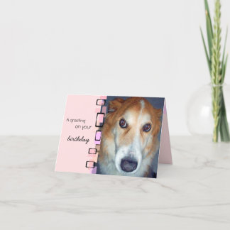 Cartão Birthday Saudação Border Collie