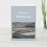 Cartão Birthday SISTER Fun Age Humor Polar Bear Animal<br><div class="desc">Birthday Blahs for your Sister Fun Age Just because you've had a lot of them.  Humorous depressed Polar Bear Animal art</div>