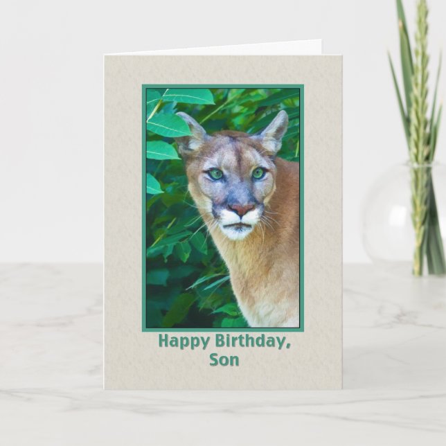 Cartão Birthday, Son, Cougar in the Jungle (Frente)