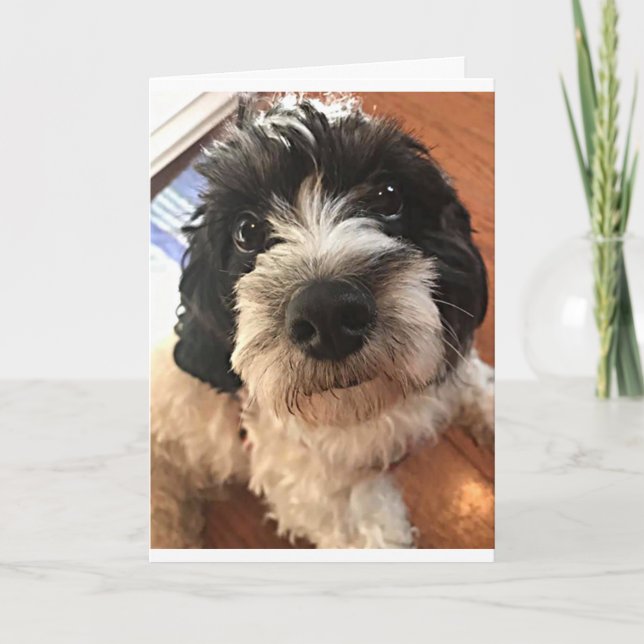 CARTÃO BIRTHDAY WISHES FOR A *BEST FRIEND* IN ALL WAYS (Frente)