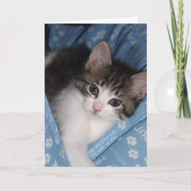 Cartão Birthday Wishes "The Purr--fect Birthday" (Frente)